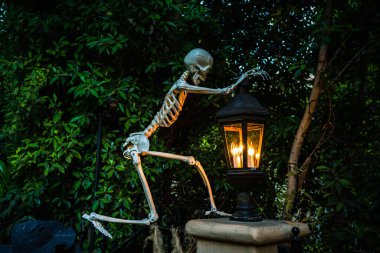 Fenerli bir iskelet, Cadılar Bayramı için yeşil bahçede korkunç bir manzara. ABD 'nin Ekim ve Sonbahar gelenekleri.