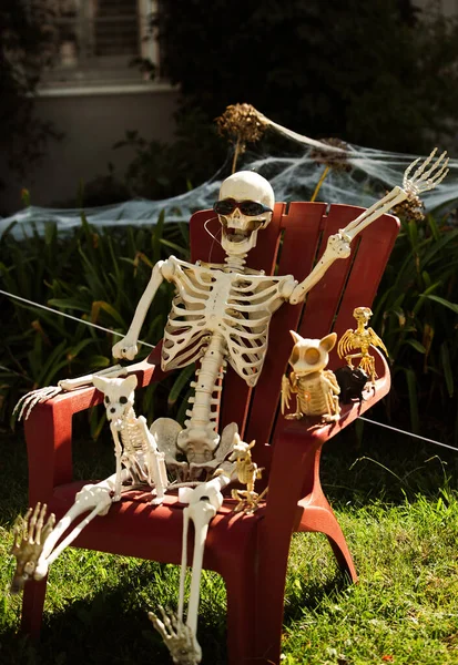 O esqueleto de um homem numa cadeira com esqueletos de animais. Animais de estimação. Cenário de Halloween em outubro. Decoração no pátio. — Fotografia de Stock