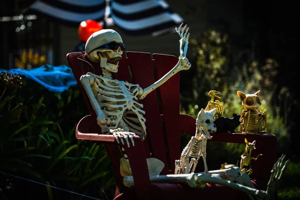Esqueleto feliz com óculos de sol. O homem está descansando em uma cadeira com esqueletos de animais. Animais de estimação. Cenário de Halloween em outubro. Decoração no pátio. — Fotografia de Stock