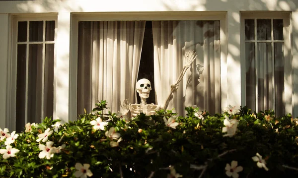 Freundliches Skelett im Fenster. Willkommen im Skelett der Familie. Szenerie für Halloween im Oktober. Dekoration im Haus. — Stockfoto