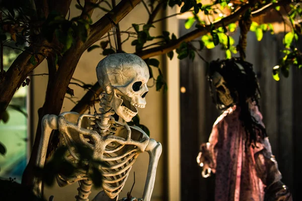 Скелети висять на дереві біля сімейного будинку. Пейзажі на Хелловін у жовтні. Декорування у дворі . — стокове фото