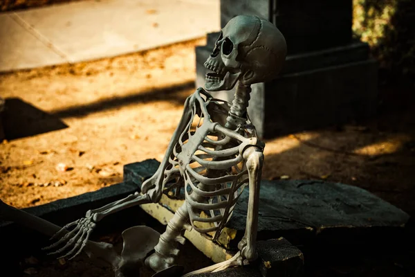 Weißes Skelett. Szenerie für Halloween im Oktober. Dekoration im Hof. — Stockfoto