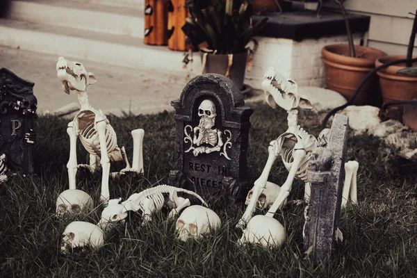 Hundeskelette auf dem Grab des Besitzers. Loyalität. Hunde sind für immer Freunde. Szenerie für Halloween im Oktober. Dekoration im Hof. — Stockfoto