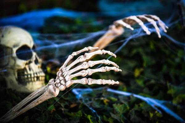 El esqueleto sale de la tierra. Paisaje para Halloween en octubre. Decoración en el patio. — Foto de Stock