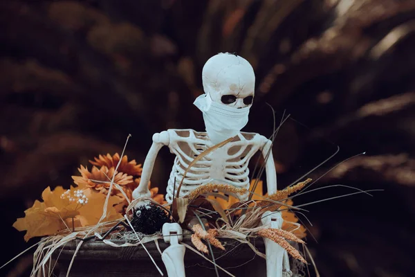 Esqueleto mascarado, pandemia de coronavírus. Cenário de Halloween em outubro. Decoração no pátio. — Fotografia de Stock