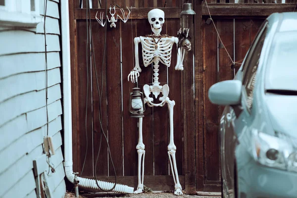 Een skelet. Landschap voor Halloween in oktober. Decoratie op de binnenplaats. — Stockfoto