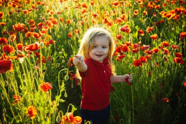 Çocuk kırmızı haşhaş tarlasında kalıyor ve gülümsüyor. Okul öncesi eğitimin çocuklarına ekoloji öğretiyorum..