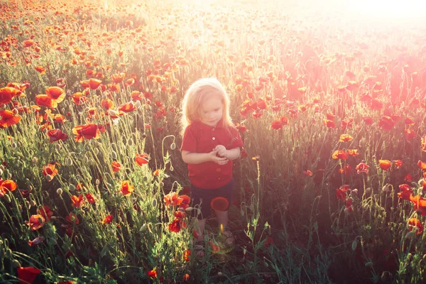 Child and nature. Summer mood. Poppy field background. — Stock Photo, Image