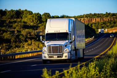 Arizona, ABD - 2020: Amerikan kamyonları. Amerika 'da yollar, mal teslimatı. Nakliye işi.