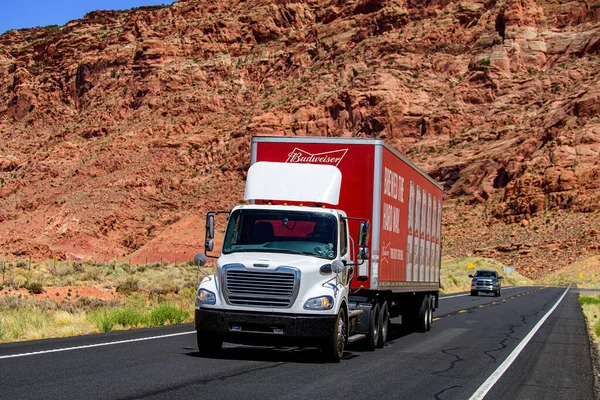 Arizona Usa May 2020 Trucker American Truck Desert Delivery Goods —  Fotos de Stock