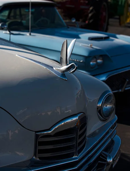 Miami Beach Usa 2020 Legendary Ford Thunderbird Bird Sign Retro — стоковое фото