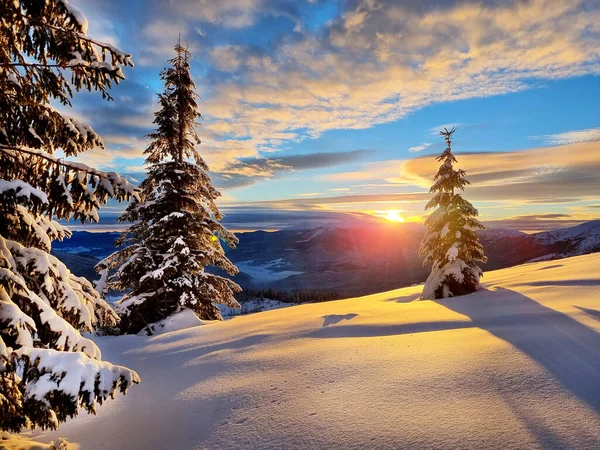 Hermoso Amanecer Las Montañas Cubiertas Nieve Escena Invernal Dramática Parque —  Fotos de Stock