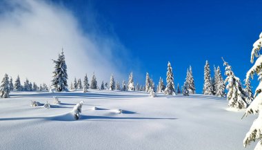 Doğa Parkı 'ndaki karla kaplı dağlarda mavi gökyüzüne karşı güzel dağ manzarası. Karpatlar, Ukrayna, Eu