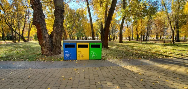 Waste sorting in the park. Caring about an environment, separating garbage into different containers.