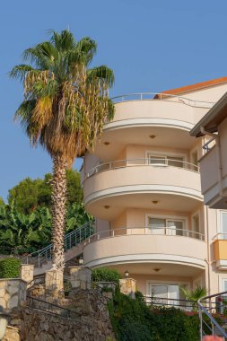 Part of the southern residential building. Growing palm tree next to the house. Southern architecture.