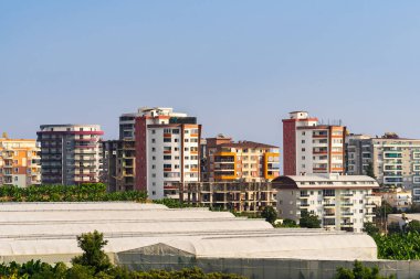Greenhouses located near the residential area of the city. Evening time.