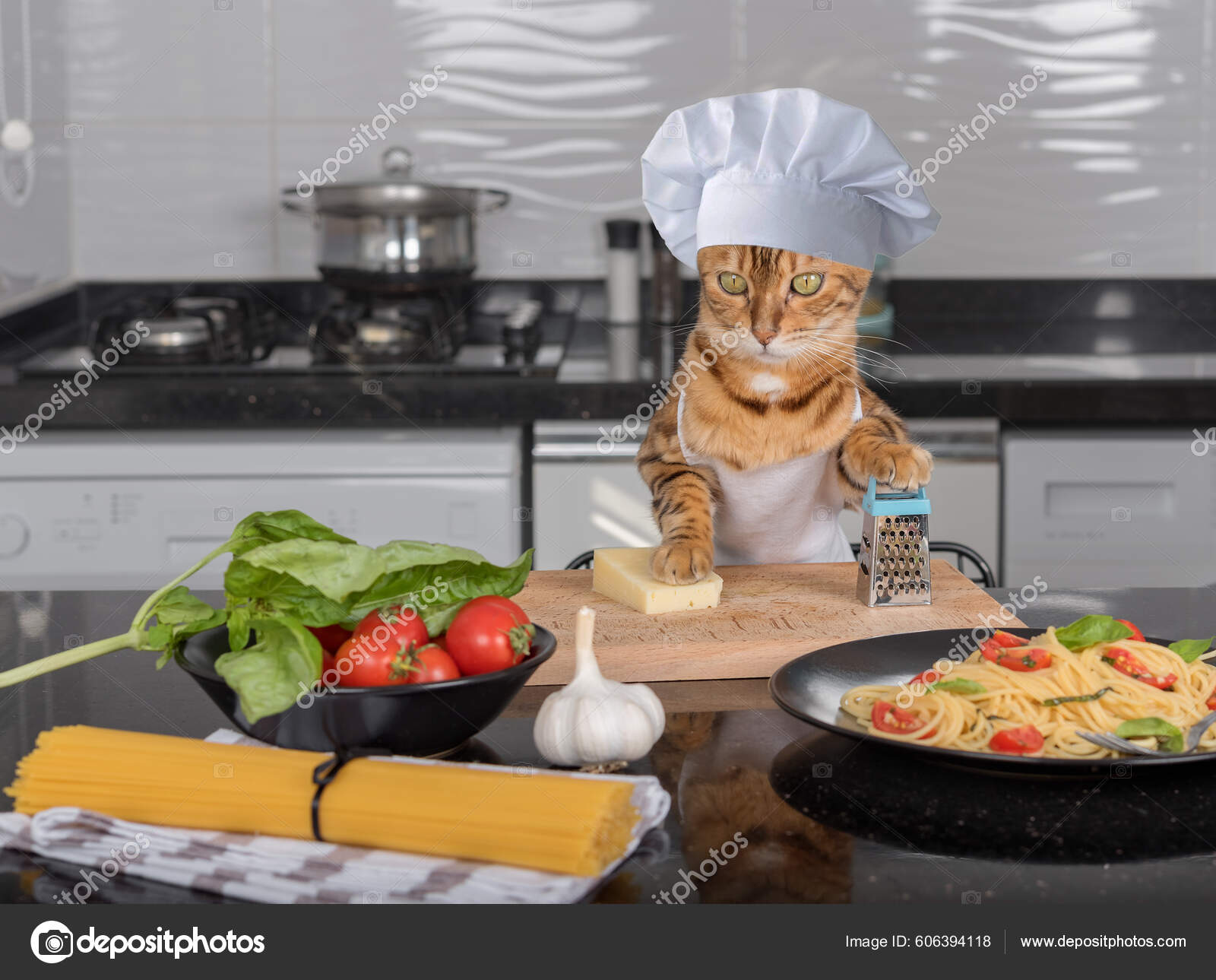 Funny Cat Chef's Hat Apron Going Grate Cheese — Stock Photo