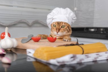 Domestic cat in a chef's hat at the table with ingredients for making pasta with cherry tomatoes.