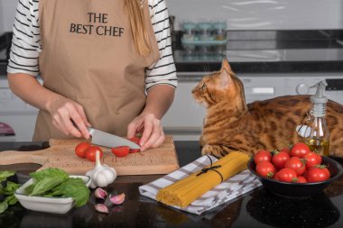 The cat and her owner prepare pasta with cherry tomatoes and basil. The cat lies on the kitchen table and watches the cooking.
