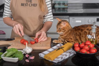 The cat and her owner prepare pasta with cherry tomatoes and basil. The cat lies on the kitchen table and watches the cooking.