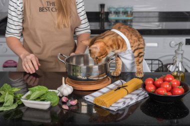 Kedi ve sahibi kiraz domatesli ve fesleğenli makarna hazırlıyorlar. Kedi tencereye bakar..