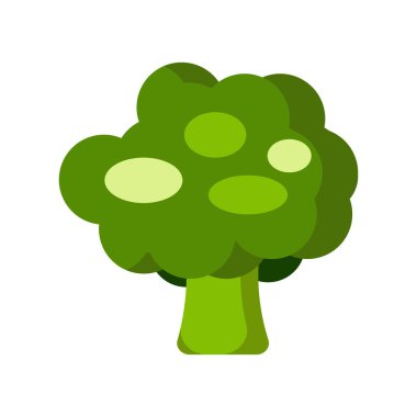 Beyaz arka planda izole edilmiş taze brokoli. Sebzeler