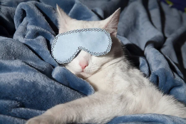 Beautiful white cat sleeps in a mask on a plush blanket