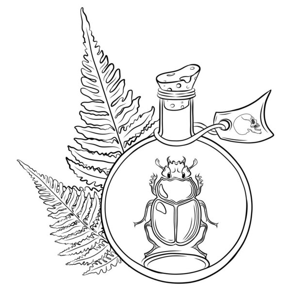 Hand drawn beetle in alchemy glass bottle with ferns and scull. Mystical magic creepy vector illustration on white background. Insects. Esoteric signs symbols. Spirituality. Tatoo. Animal spirit art