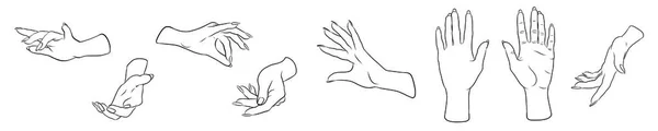 Набор Рукописных Линейных Женских Рук Векторные Человеческие Руки Изолированы Белом — стоковый вектор