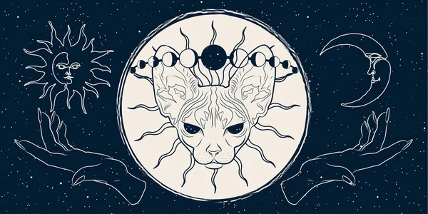 Mysterious Banner Sphinx Cat Moon Vector Background Landing Page Web — Stockvektor