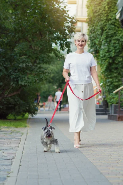 A woman in white clothes walks the streets of the city on a summer day with her small gray shaggy Shatlad Terrier dog with a red leash. The concept of training, pets and veterinary medicine. Copyspace