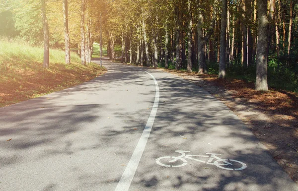 Güneşli bir yaz gününde şehir parkında bisiklet yolu. Spor konsepti, sağlıklı yaşam tarzı, doğa. Kopyalama alanı