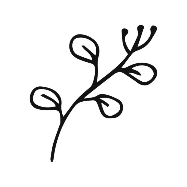 Handgetekende Planten Schetsen Bloemen Verlof Element Line Art Stijl Geïsoleerd — Stockvector