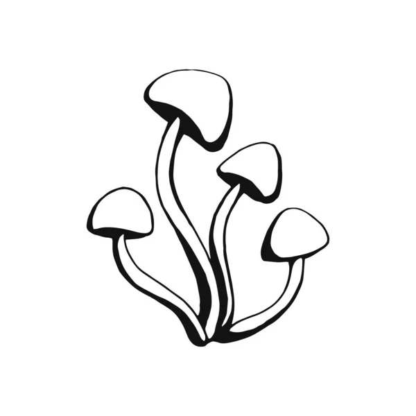 手绘蘑菇轮廓 白色背景的线条艺术风格 — 图库矢量图片