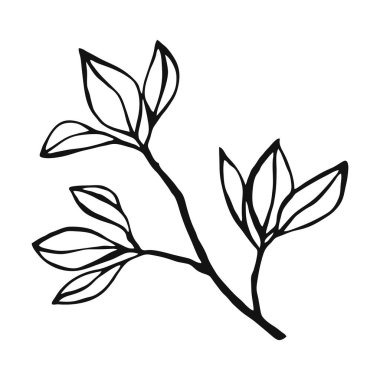 El çizimi bitkiler. Çiçek al ve element bırak. Beyaz arkaplanda çizgi sanatı biçimi izole.