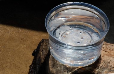Şeffaf plastik kasede temiz su. Plastik kasenin yakınında tahtanın üzerinde temiz su var. Atık su yönetimi için kullan.