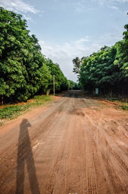 Yeşil yaşam alanı