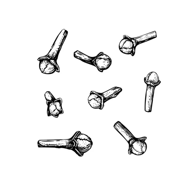 Esquisse à clous en style gravé. Décrivez l'illustration vectorielle. Aliments naturels biologiques dessinés à la main. — Image vectorielle