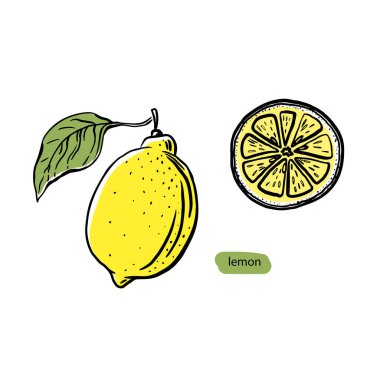 Klasik limon eskizi, siyah set, her amaç için harika tasarım. El çizimi stili. Vektör simgesi. Sağlıklı vejetaryen yemekleri. Grafik ögesi.