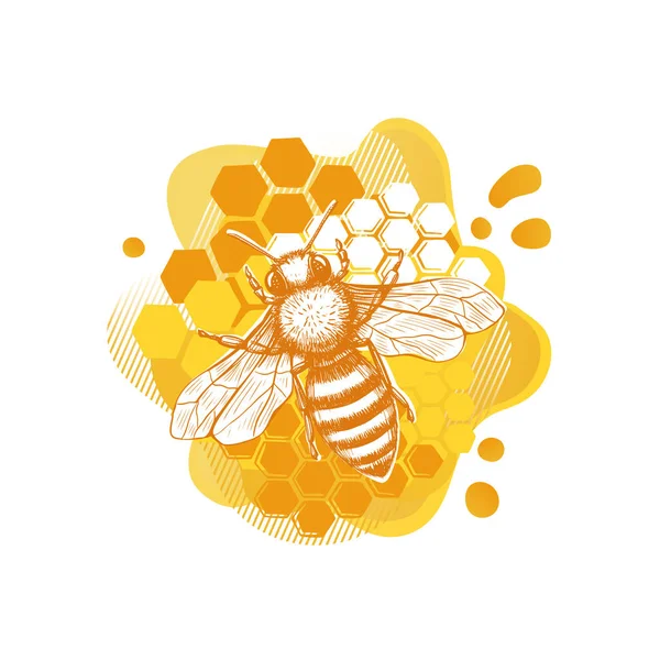 Sketsa templat Lebah Kuning dalam gaya modern pada latar belakang putih. Musim panas makanan organik alami. Seni garis. - Stok Vektor