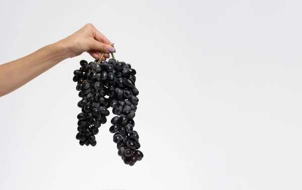 Grupa izolatów winogron niebieskich — Zdjęcie stockowe