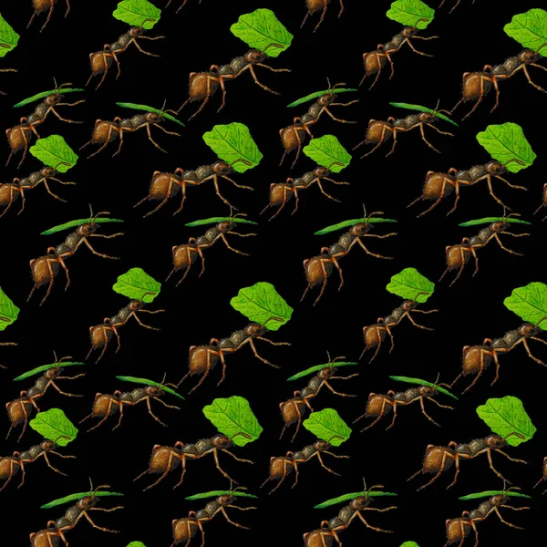 Patrón Sin Costura Acuarela Con Hormigas Trabajadoras Estampado Animal Para —  Fotos de Stock