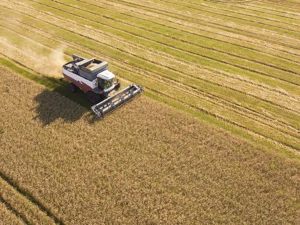 Luftaufnahme eines Mähdreschers auf einem Erntefeld in Russland. Drohnenschuss aus der Luft. — Stockfoto