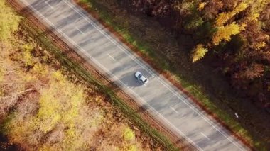 Top-down aerial view of a straight road going through a dense forest in autumn colours. No people.