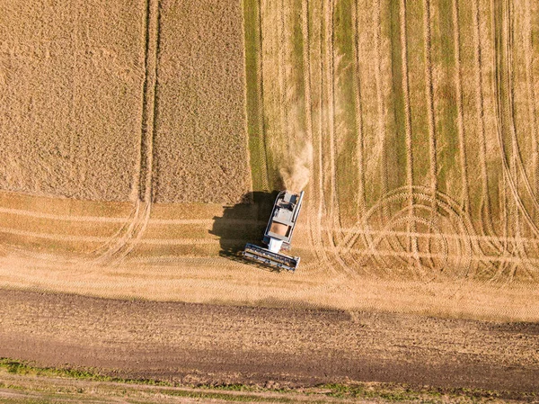 Combiner le blé récolté au champ. Machine de récolte travaillant sur le terrain. Vue aérienne depuis le drone. Russie. — Photo