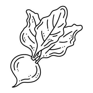 Şalgam ya da pancar sonbahar sebze hasadı, karalama stilinde doğrusal vektör simgesi