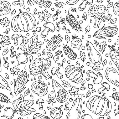 Sonbahar hasadı için sebzeli ve mantarlı vektörsüz şablon. Çizim tarzında siyah doğrusal bitkiler. Balkabağı, mantar ve brokoli..