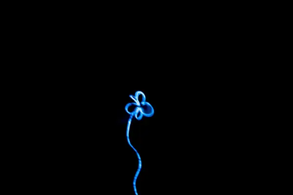 Голубой огонек — стоковое фото