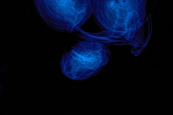 Blue Light Art — Stockfoto