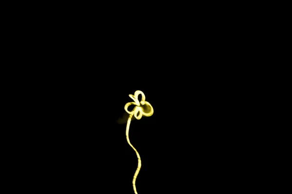 Luz amarela Arte — Fotografia de Stock